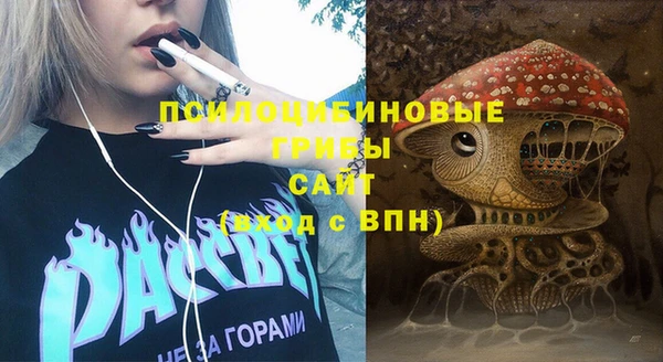 PSILOCYBIN Наволоки