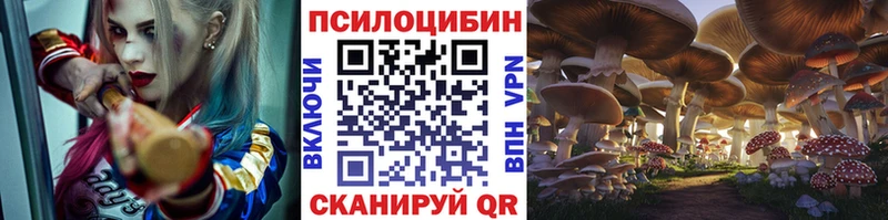Галлюциногенные грибы GOLDEN TEACHER  мега ТОР  Переславль-Залесский  дарнет шоп 